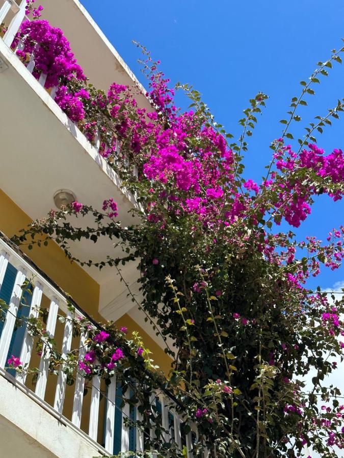 B&B Mi Ma Bo, Sal Rei, Boa Vista, Cape Verde, Free Wi-Fi Екстер'єр фото