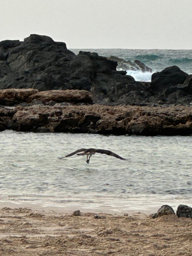 B&B Mi Ma Bo, Sal Rei, Boa Vista, Cape Verde, Free Wi-Fi Екстер'єр фото