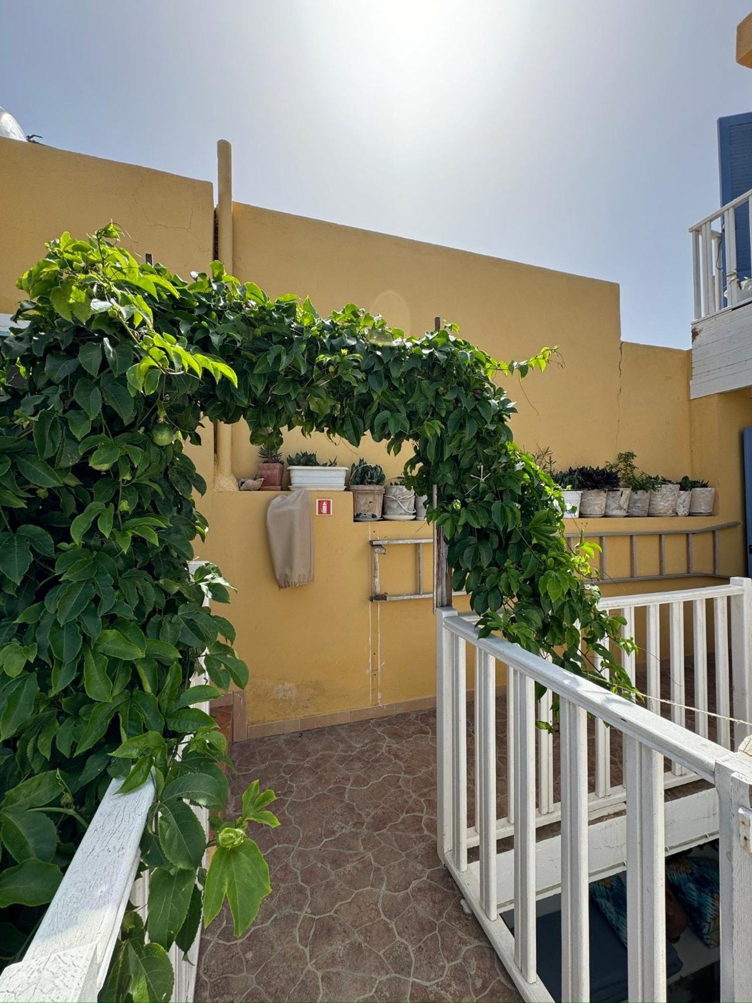 B&B Mi Ma Bo, Sal Rei, Boa Vista, Cape Verde, Free Wi-Fi Екстер'єр фото