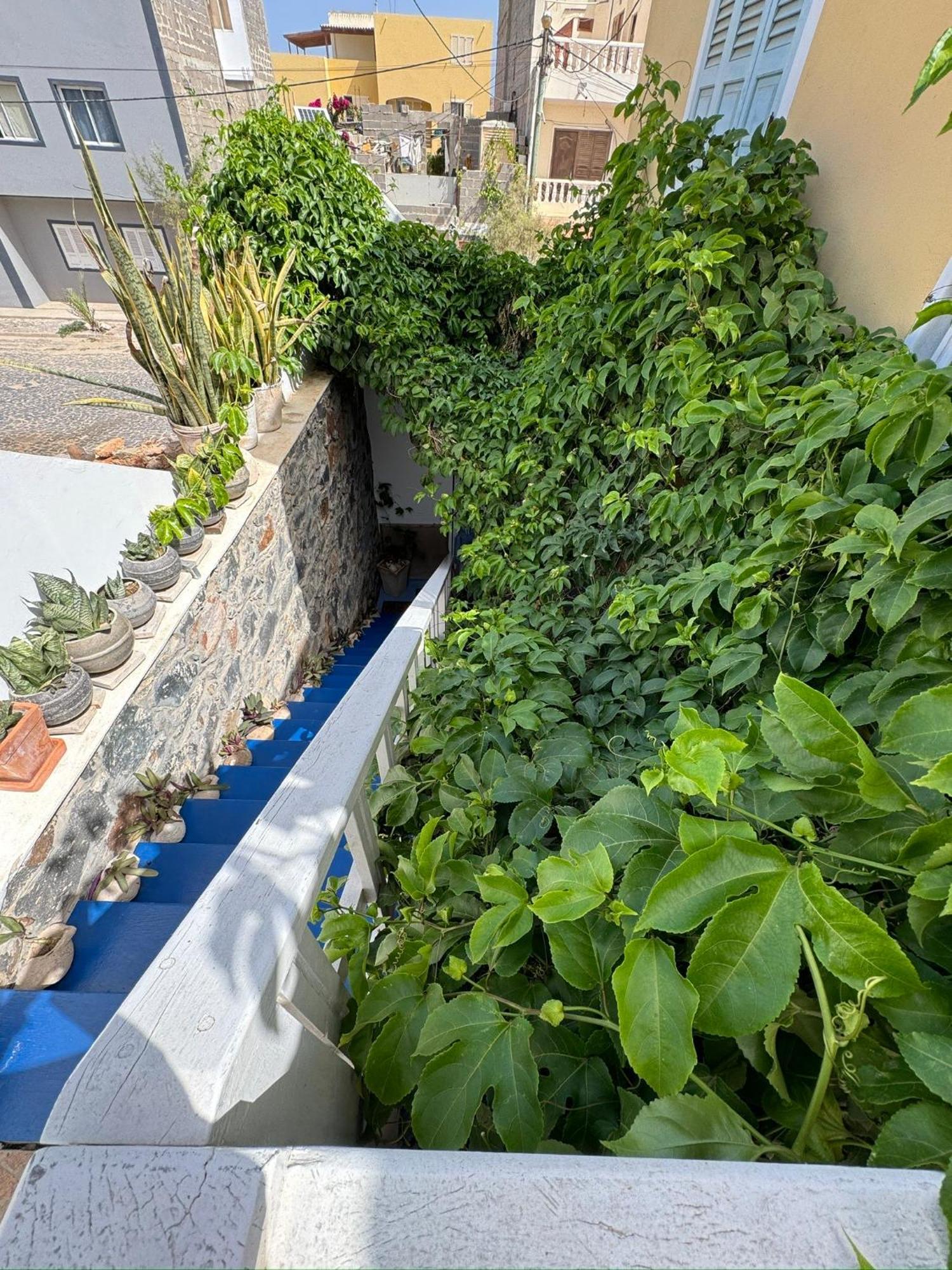 B&B Mi Ma Bo, Sal Rei, Boa Vista, Cape Verde, Free Wi-Fi Екстер'єр фото