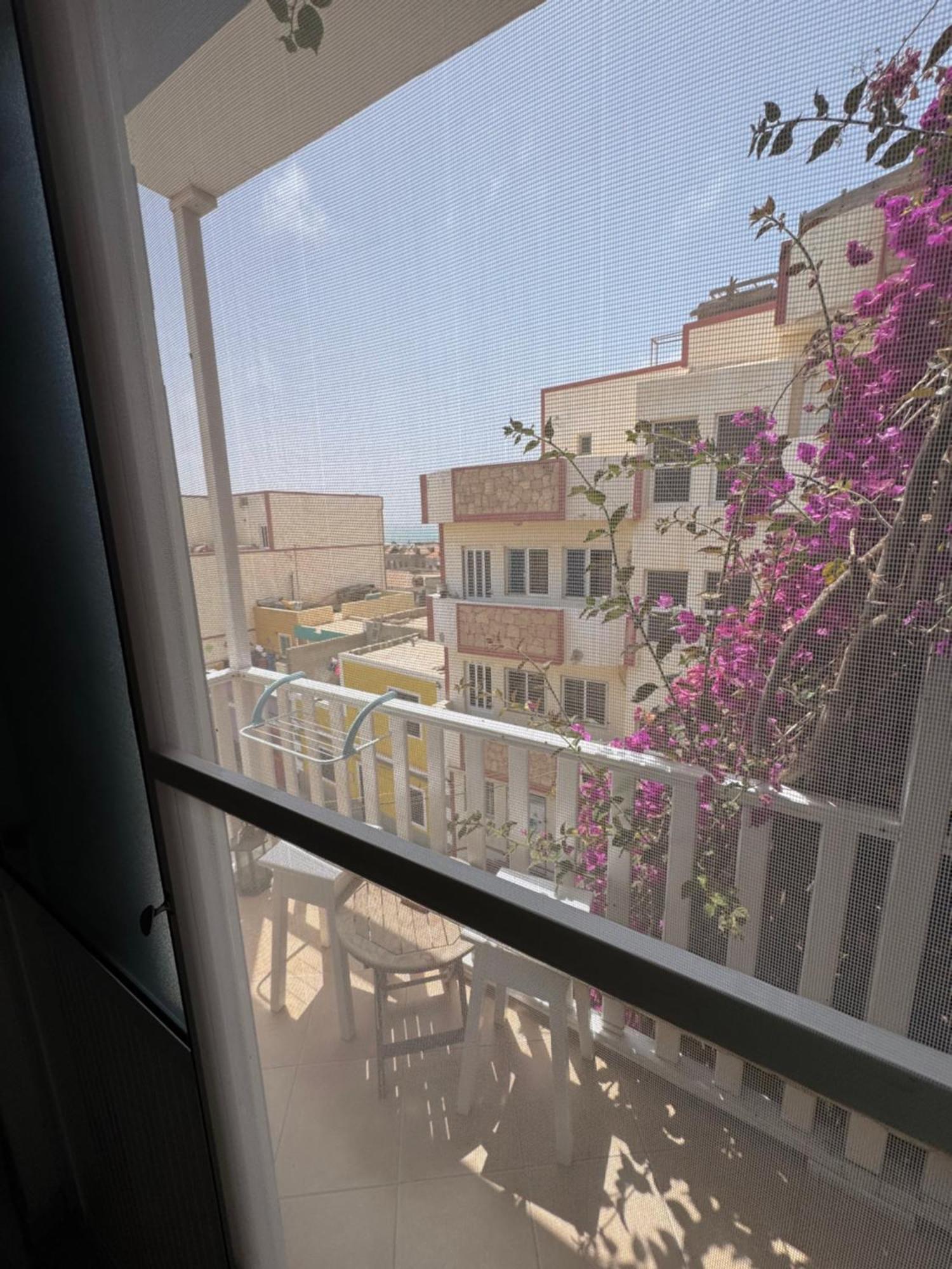 B&B Mi Ma Bo, Sal Rei, Boa Vista, Cape Verde, Free Wi-Fi Екстер'єр фото
